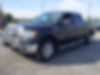 1FTFW1ET8DKD86226-2013-ford-f-150-2