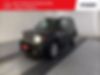 ZACNJBD16LPL71256-2020-jeep-renegade-0