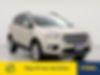 1FMCU0GD1JUD16894-2018-ford-escape-1