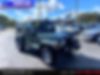 1J4FA59SX2P723349-2002-jeep-wrangler-0