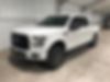 1FTEW1EFXGFA69289-2016-ford-f-150-0