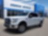 1FTEW1EF3HKC52929-2017-ford-f-150-0