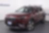 1C4PJMDX4KD200319-2019-jeep-cherokee-0