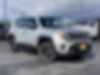 ZACNJDAB6MPN11073-2021-jeep-renegade