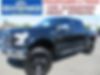1FTEW1EF7HKC03863-2017-ford-f-150-0