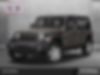 1C4HJXDG8JW150954-2018-jeep-wrangler-unlimited-0
