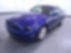 1ZVBP8AM7D5213165-2013-ford-mustang-0
