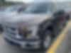 1FTEW1EF8GFD15840-2016-ford-f-150-0