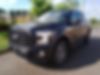 1FTEW1EP5GFC91392-2016-ford-f-150-0