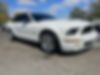 1ZVHT89S385199781-2008-ford-mustang-0