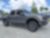 1FTEW1EP0KFB33583-2019-ford-f-150-0