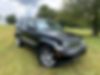 1C4PJMFKXCW159038-2012-jeep-liberty-0