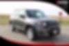 ZACNJBBB6LPK96067-2020-jeep-renegade