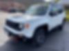 ZACNJBC19KPK13056-2019-jeep-renegade-2