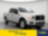 1FTEW1CPXJFE36744-2018-ford-f-150-0