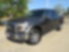 1FTEW1EFXGFB42578-2016-ford-f-150