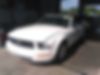 1ZVHT84NX85191274-2008-ford-mustang-0