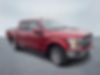 1FTEW1EP0KFB32434-2019-ford-f-150-1