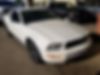 1ZVHT80N485120738-2008-ford-mustang-1