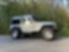 1J4FA49S1YP782437-2000-jeep-wrangler-1