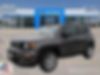 ZACNJABB5LPL00250-2020-jeep-renegade-0