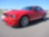 1ZVHT88S375275399-2007-ford-shelby-gt350-0