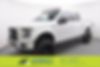 1FTEW1EP0HKE18509-2017-ford-f-150