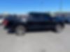 1FTEW1E84HFC53646-2017-ford-f-150-2
