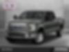 1FTEW1CF3GKF10318-2016-ford-f-150-0