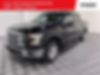 1FTEW1CPXGKF02290-2016-ford-f-150-0