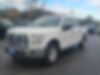1FTEW1E89FFB10155-2015-ford-f-150-2