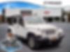 1C4BJWEG0HL614121-2017-jeep-wrangler-unlimited