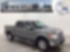 1FTFW1ET5DFD53788-2013-ford-f-150-0