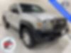 5TEUX42N19Z602884-2009-toyota-tacoma-0