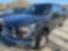 1FTEW1EF0GFB12876-2016-ford-f-150-0