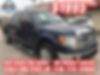 1FTFW1CT8DKG06628-2013-ford-f-150-0