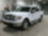 1FTFW1EF8BFD39889-2011-ford-f-150-0