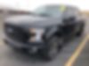 1FTEW1EP0HFB01239-2017-ford-f-150-0
