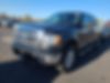 1FTFW1ET6DKD50891-2013-ford-f-150-0