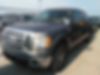 1FTEW1C88AFD32617-2010-ford-f-150-0