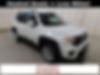 ZACNJBBB4KPJ98590-2019-jeep-renegade