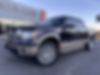 1FTFW1ET9CKD80207-2012-ford-f-150-1