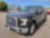 1FTEW1EP6HKD54296-2017-ford-f-150-1