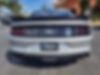 1FA6P8TH1K5117216-2019-ford-mustang-2