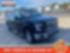 1FTEW1E84HFC05385-2017-ford-f-150-0