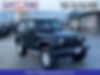 1J4AA2D13AL208741-2010-jeep-wrangler-0