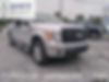 1FTEW1E82AFB32877-2010-ford-f-series-0