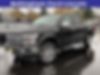 1FTEW1EP6KKD10189-2019-ford-f-150-0