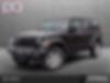 1C4HJXDG5MW813966-2021-jeep-wrangler-unlimited-0