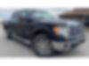1FTFW1ET6BFB14893-2011-ford-f-150-0